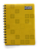 Cuaderno FRANCES Doble Arillo 100 Hojas ROCA®